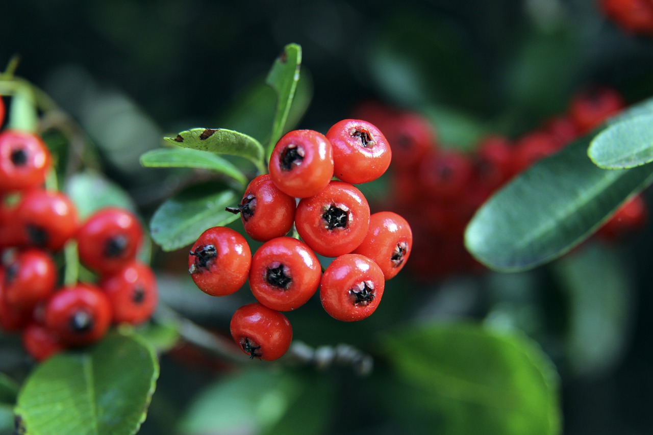 迎战强敌 迎战强敌