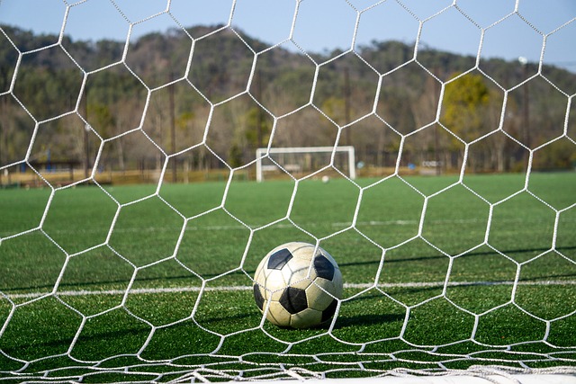 尽管两位球 尽管两位球