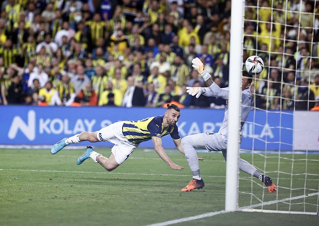 可能导致更 可能导致更