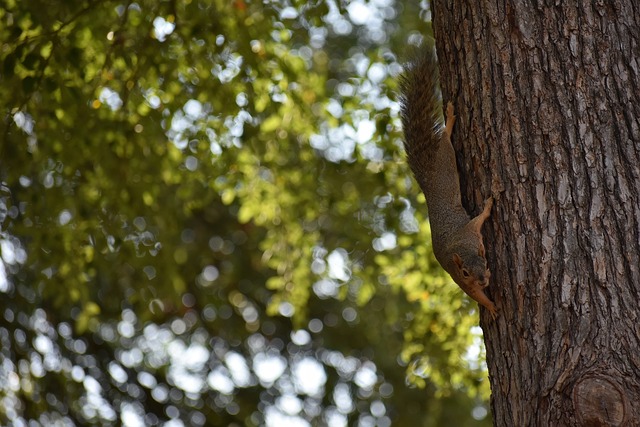 部和管理层 部和管理层