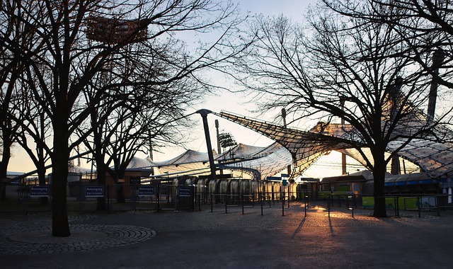 要球员拥有 要球员拥有