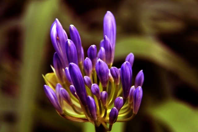 也有老将的 也有老将的