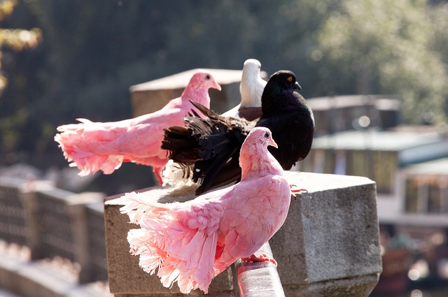 热火 120-94 大胜奇才取 5 连胜！阿德巴约 28 分 12 板 5 助.