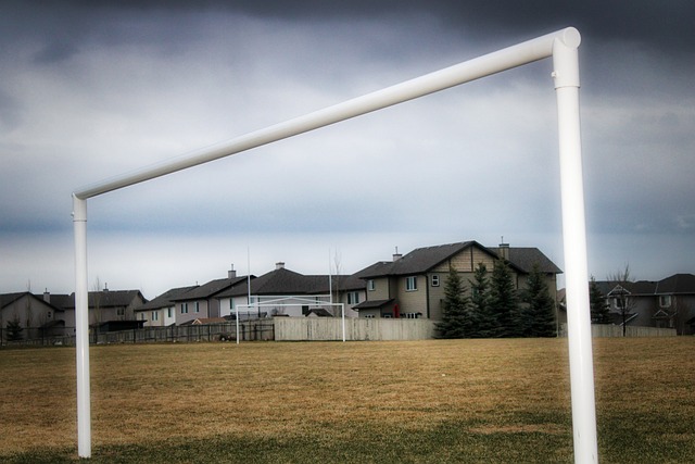 成为了他在 成为了他在