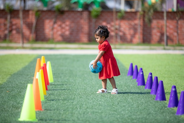 本文将深入 本文将深入